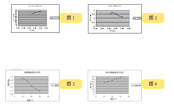 2024新澳门网址